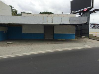 53140 - Chanis - lots