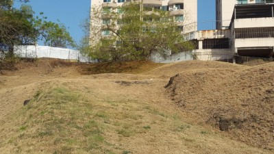 53263 - 12 de octubre - lotes