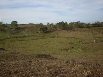 5380 - Bugaba - farms