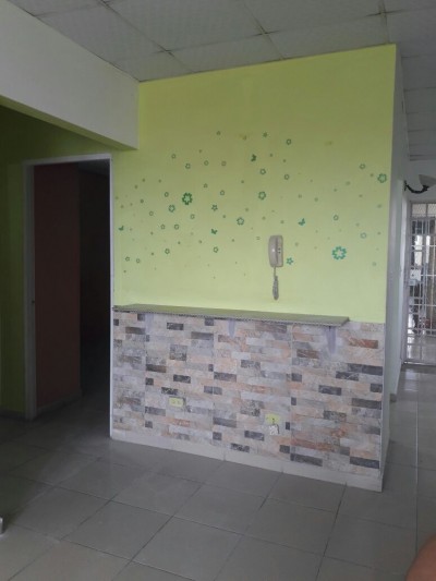 53894 - Campo limberg - propiedades