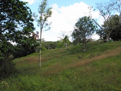 5464 - Villalobos - lotes