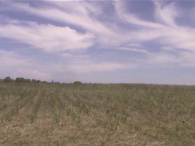 5478 - Rio grande - fincas