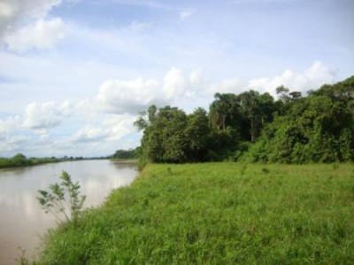 5542 - Chepigana - propiedades