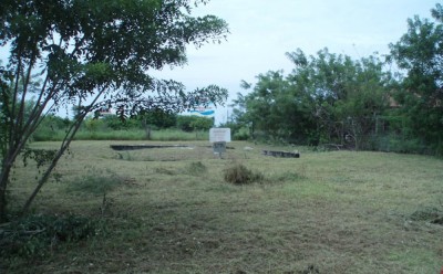 5772 - Nueva gorgona - lotes