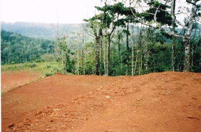 58151 - Cerro azul - lotes - altos de cerro azul