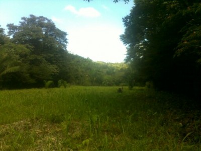 5851 - Santiago de Veraguas - lots