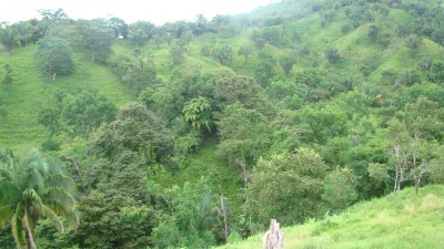 5895 - Soná - farms