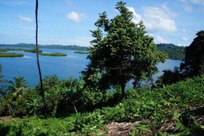 59312 - Tierra oscura - lots