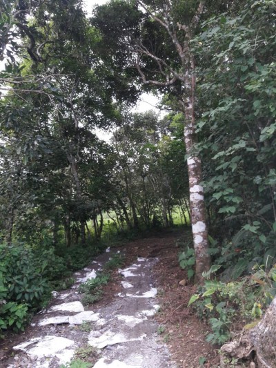 59441 - Jaramillo - propiedades