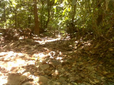 6088 - Chepigana - propiedades