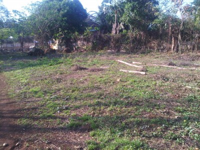 6215 - La Chorrera - lotes