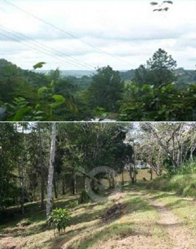 6272 - Burunga - lotes