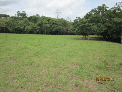 6275 - San Francisco - veraguas - lotes