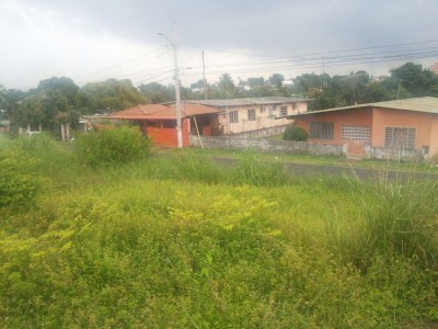 64470 - Juan diaz - lots