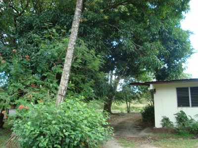 704 - Penonomé - casas