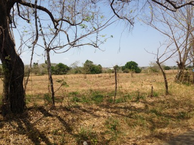 7123 - Pedasí - lotes