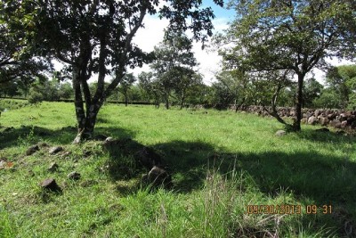 7196 - Caldera - properties