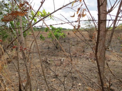 72188 - El coco - la chorrera - lots