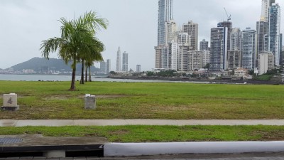 72443 - Punta pacifica - lots