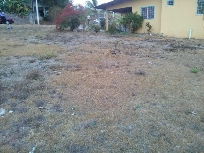 73072 - La Chorrera - lotes