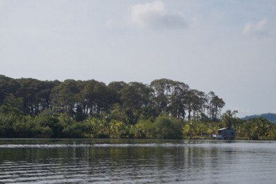 73540 - Tierra oscura - lots