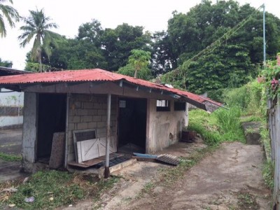 74119 - Chanis - lots