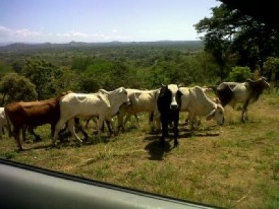 7520 - San Félix - fincas