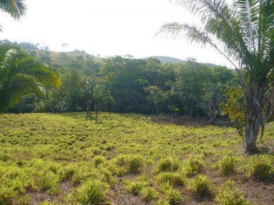 75238 - Nuevo emperador - fincas