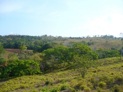 75243 - Nuevo emperador - fincas