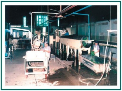 7608 - La Pintada - fincas