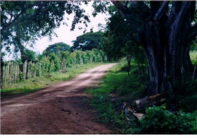 7632 - Purio - properties