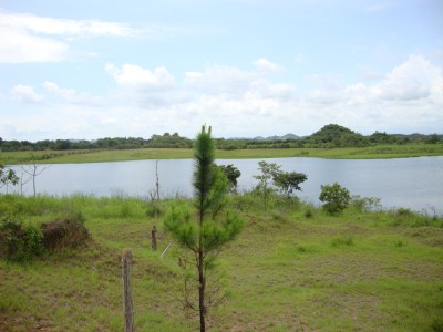 7776 - La mata - propiedades