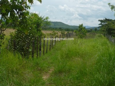 77845 - Calobre - fincas