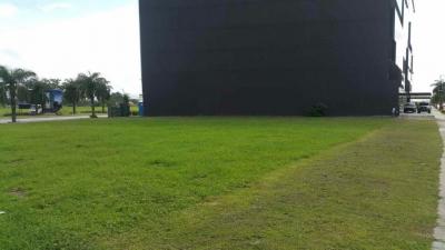 78527 - Santa maria - offices - santa maria business district