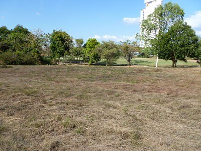 7976 - Coronado - lots