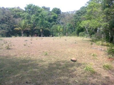 7977 - La Chorrera - lots