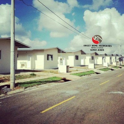 79786 - David - casas