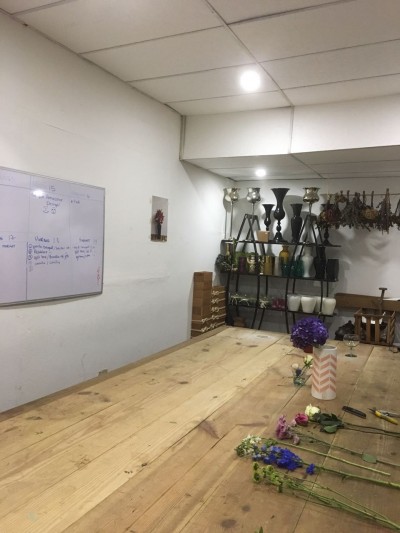 80561 - San francisco - casas