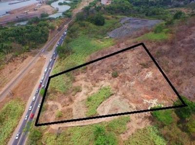 81074 - Cardenas - properties