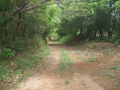 8179 - El cristo - fincas