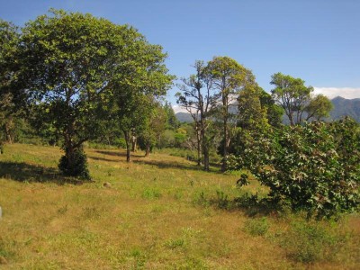 820 - Boquete - lotes