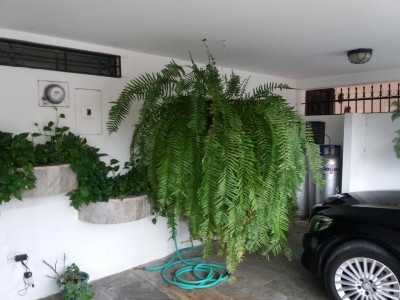 82371 - Hato pintado - casas