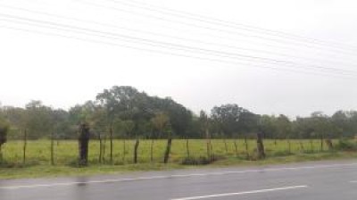 82652 - Bugaba - propiedades