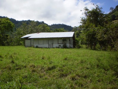 8321 - Bugaba - farms