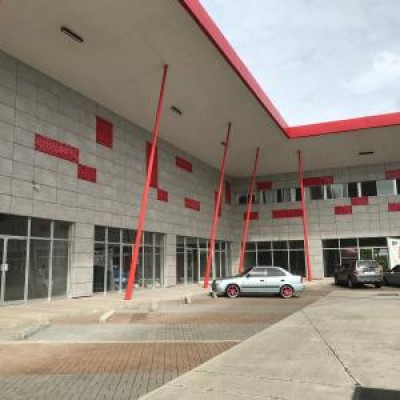 84676 - Bambito - lotes