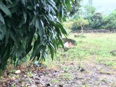 84791 - Las trancas - lotes