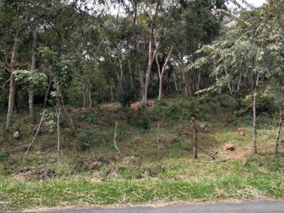 84925 - Las Tablas - casas - cerro canajagua