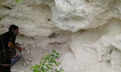 85591 - Chepo - lotes