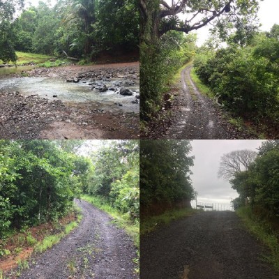 85619 - La Chorrera - lotes