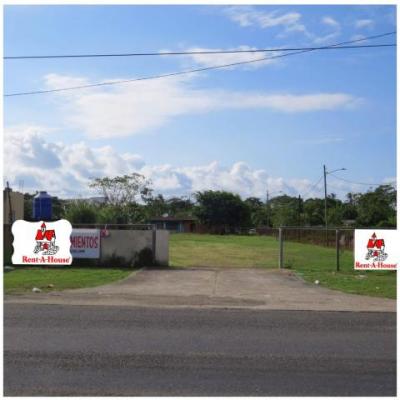 88901 - Maria chiquita - lotes